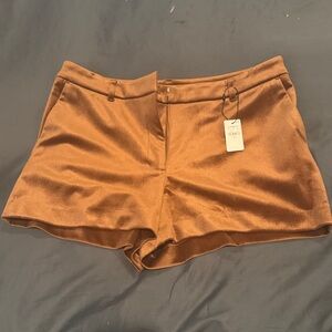 Elegant corduroy Brown Women's Shorts